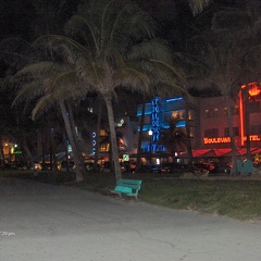 Miami 020